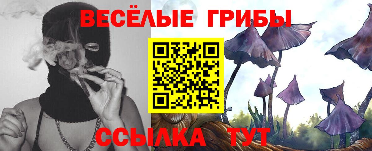 Псилоцибиновые грибы GOLDEN TEACHER Гатчина